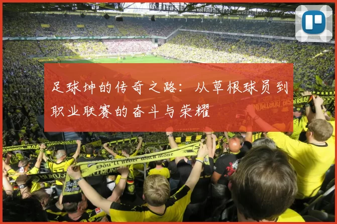 足球坤的传奇之路：从草根球员到职业联赛的奋斗与荣耀